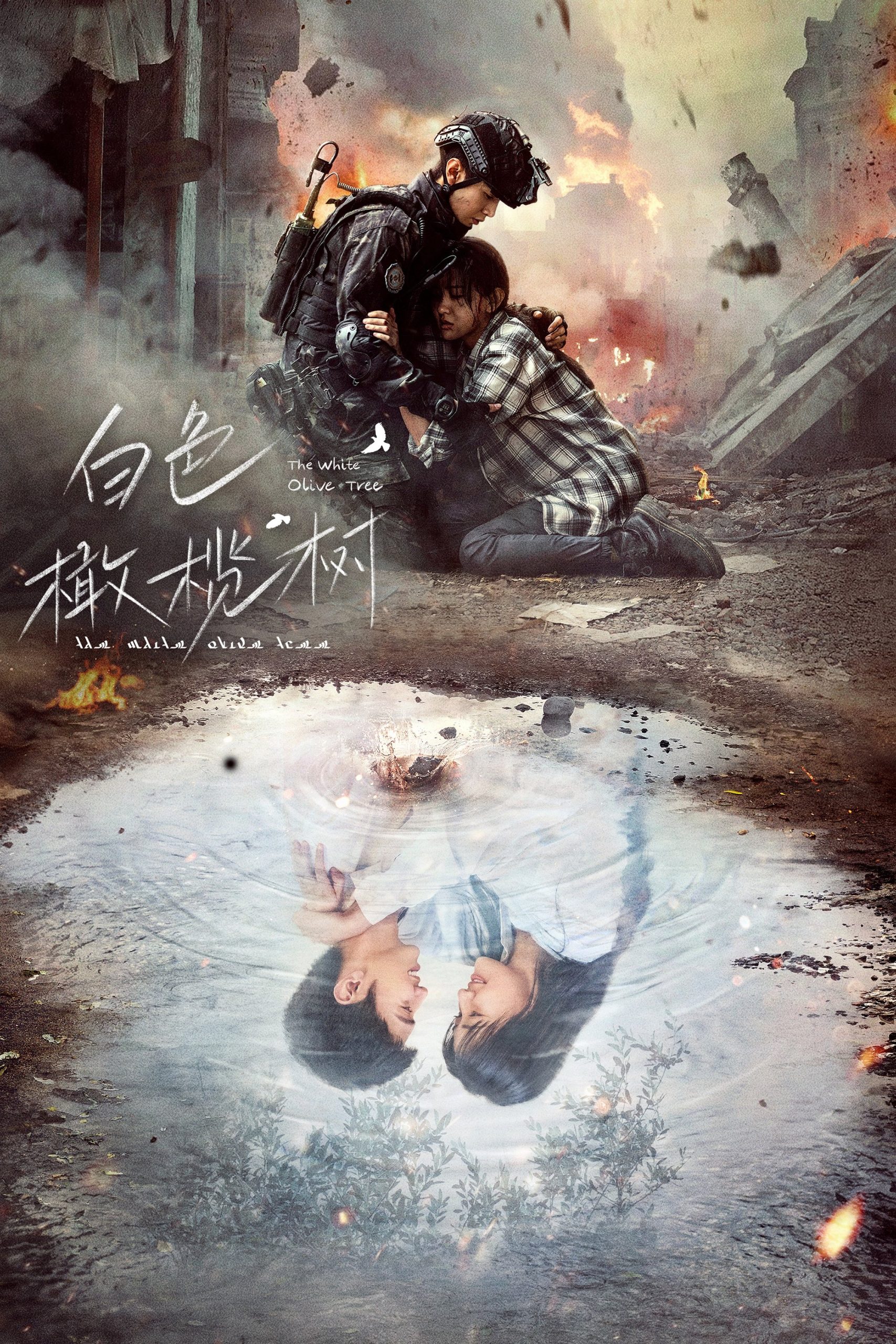 Cây Ô Liu Màu Trắng