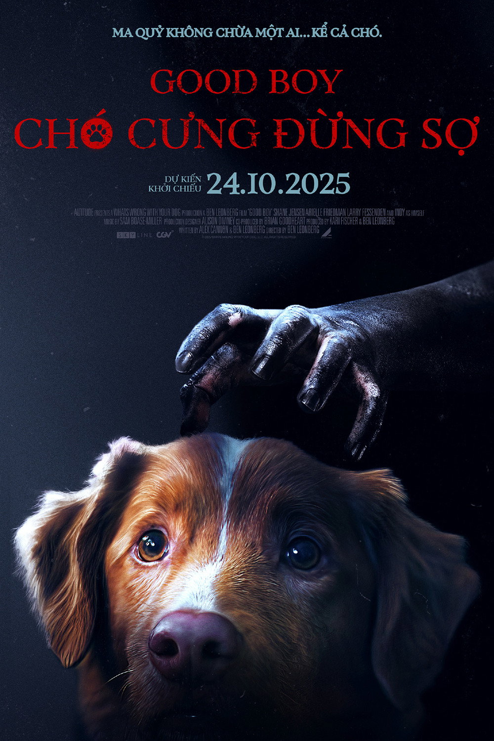 Chó Cưng Đừng Sợ