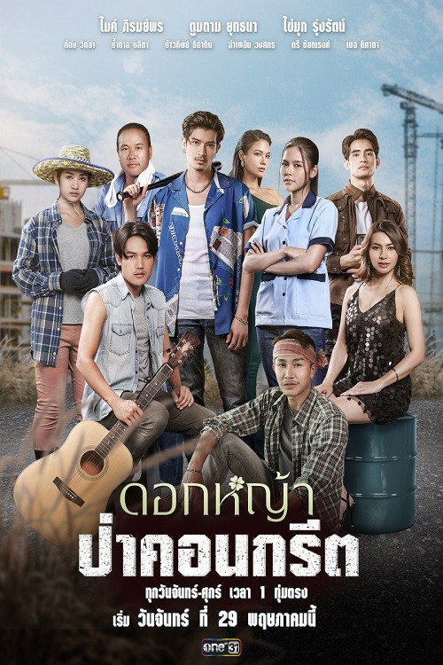 Nhánh Hoa Kiên Cường (Hoa Dại Giữa Phố Thị)